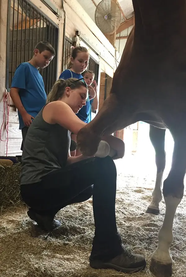 Volunteer cleaning horse's hoof while children watch